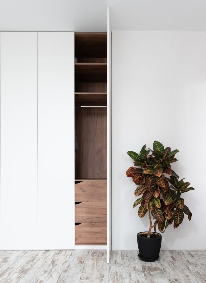 Fresh exotic fire croton potted plant placed on floor near minimalist white wardrobe with opened door in modern apartment
